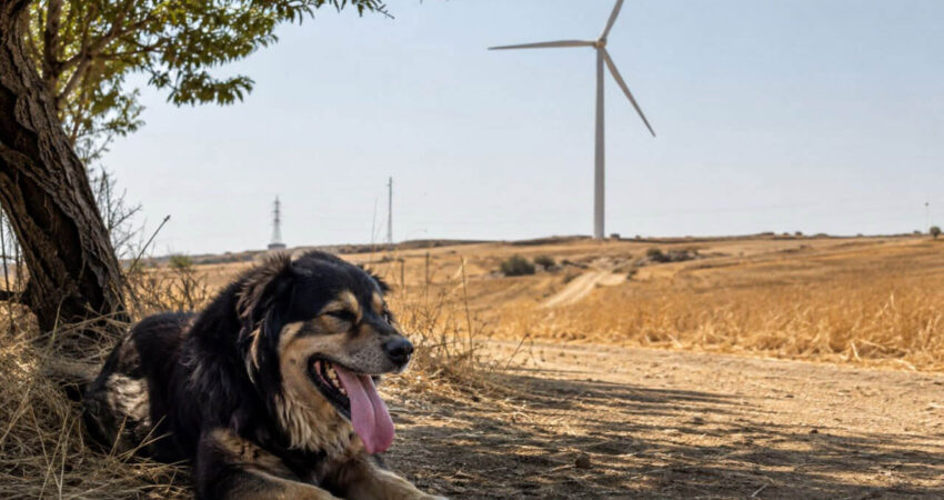 NO POWER SYSTEM IS HEAT-PROOF: EUROPE’S SUMMER STRESS TEST