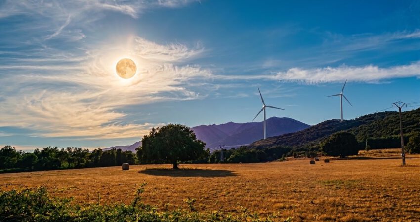 EUROPE IS ON TRACK FOR A RECORD YEAR FOR WIND POWER